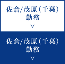佐倉/茂原（千葉）勤務